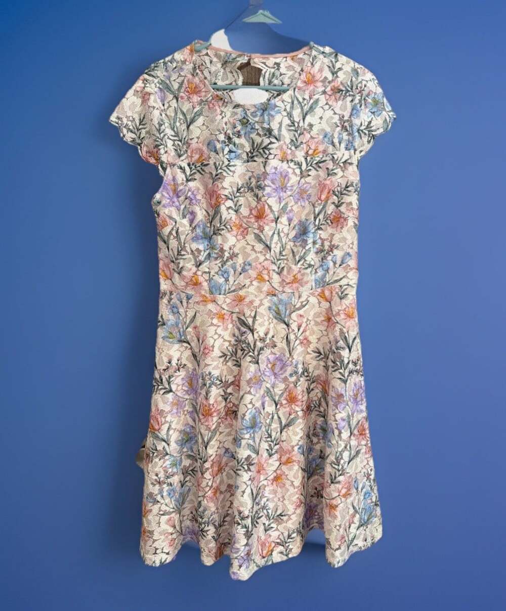 Cottage Core Floral Lace Fit-and-Flare Dress Whimsical Fairy Style. Meas In Pics